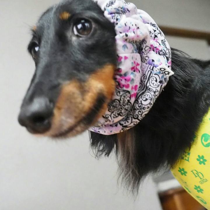 6a5943d9 de9d 4b5d 81d6 d9896e276109 1592713157362