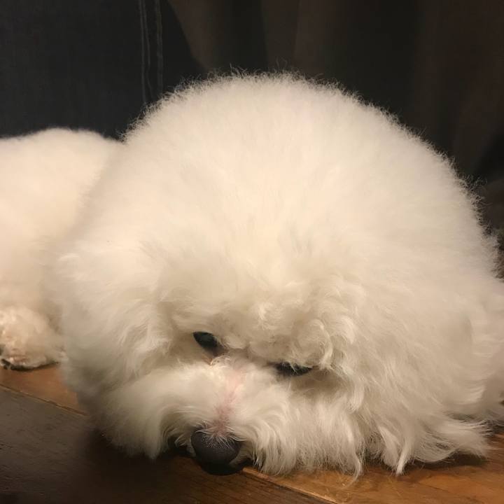 6a595cab 01a1 41ad a1b4 1f4790e35e88 1534515184359