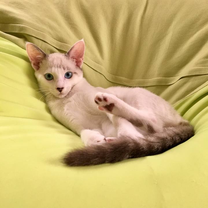 6a5993ff 3956 4a93 89a3 de54586e0b51 1535935538718