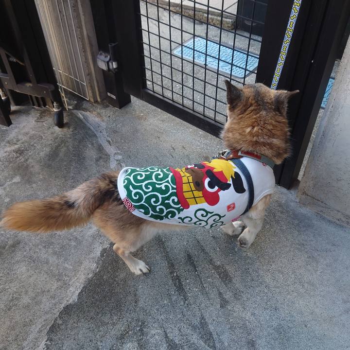 6a59a12e d199 42f4 83d0 2827a4ff7428 1735784539377