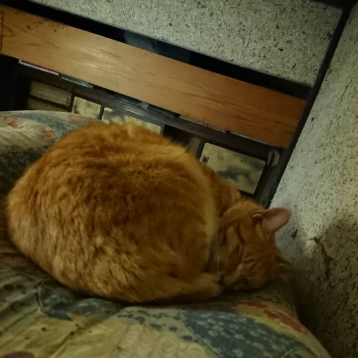 6a59abcb 790a 4353 abd2 06c56338e273 1602075330189