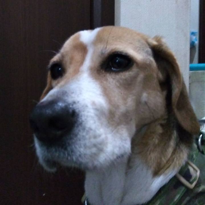 6a59adbd 36a4 4a30 8bfc fb8f039278ae 1678542848153