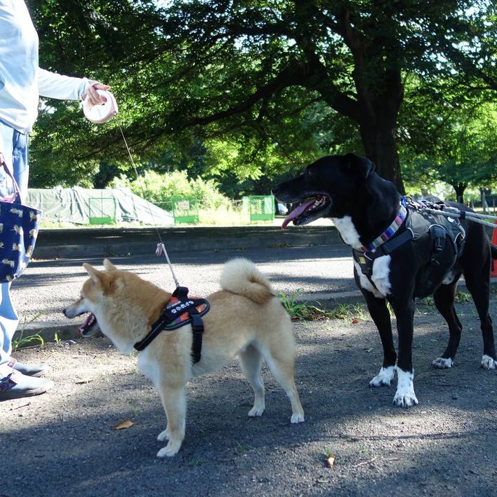 6a59bead c951 422c 9921 22145243eb7f 1656287432571