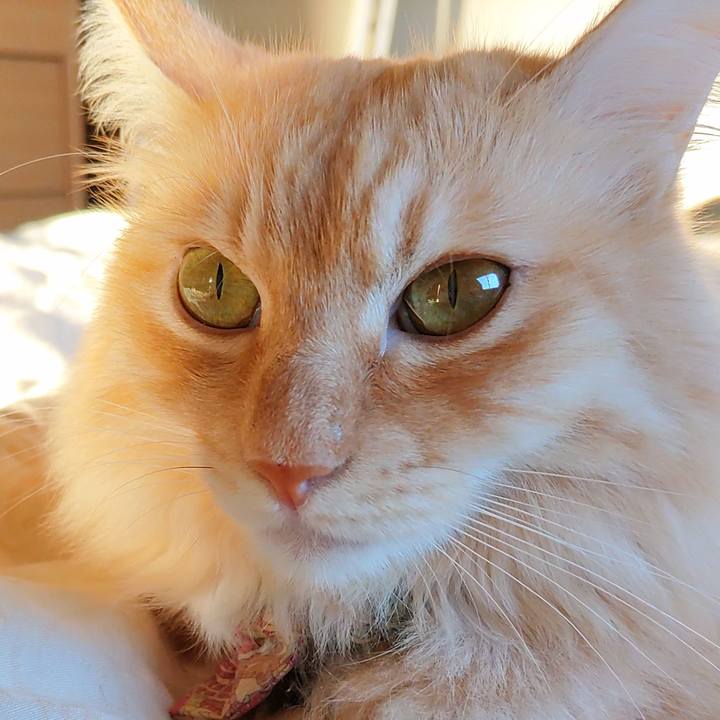 6a59c0d3 49b0 47d7 adad 727a76fc9ed8 1695596830279