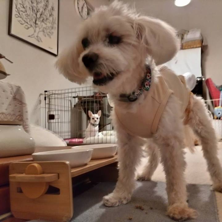 6a59ffae eb14 49cc 9286 ca30e8b0cd27 1732478208902