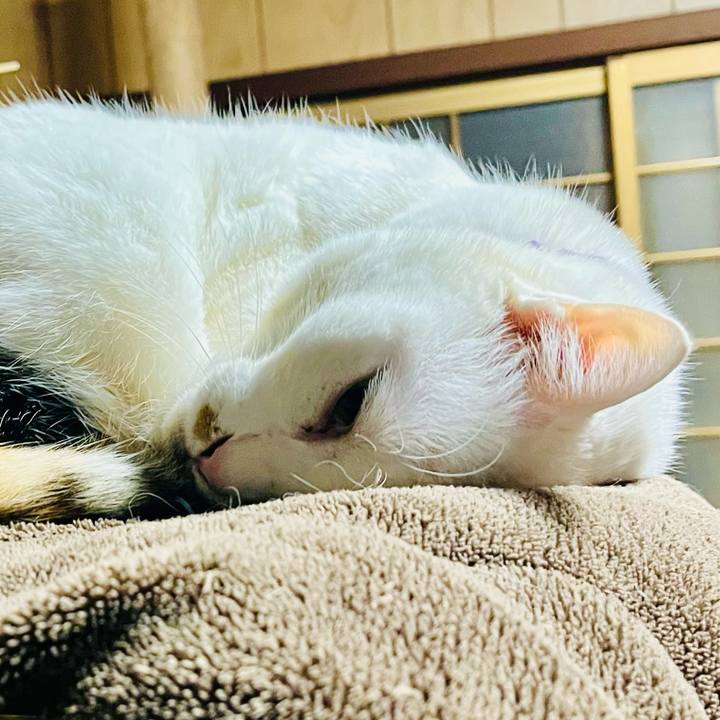 6a5a0fbf 4322 4643 a657 d23cb2ec0c92 1770460751538