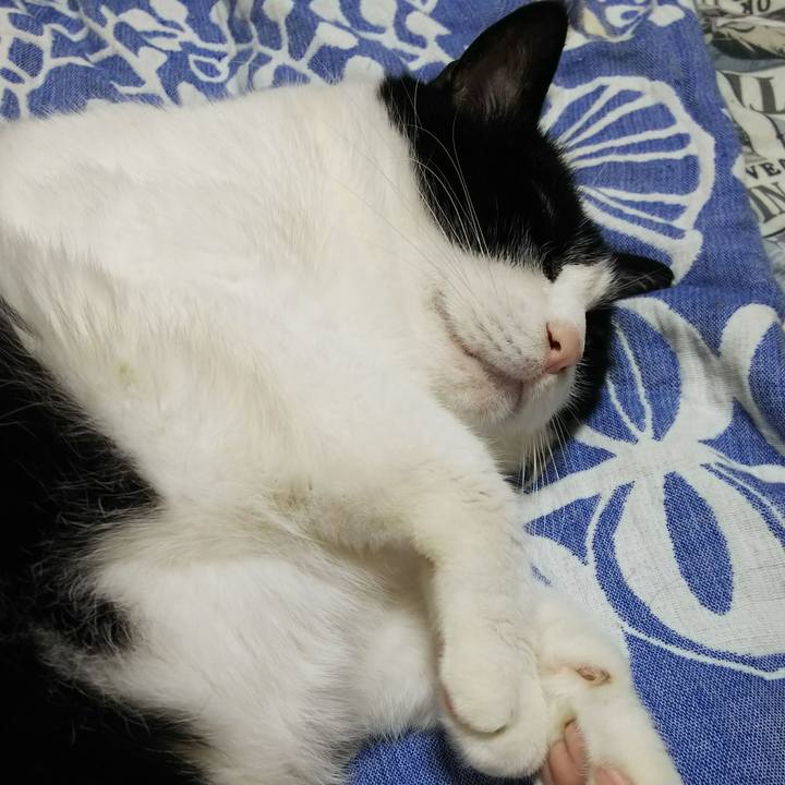 6a5a1607 cd88 426a b0da 9dda4800c722 1528898126145