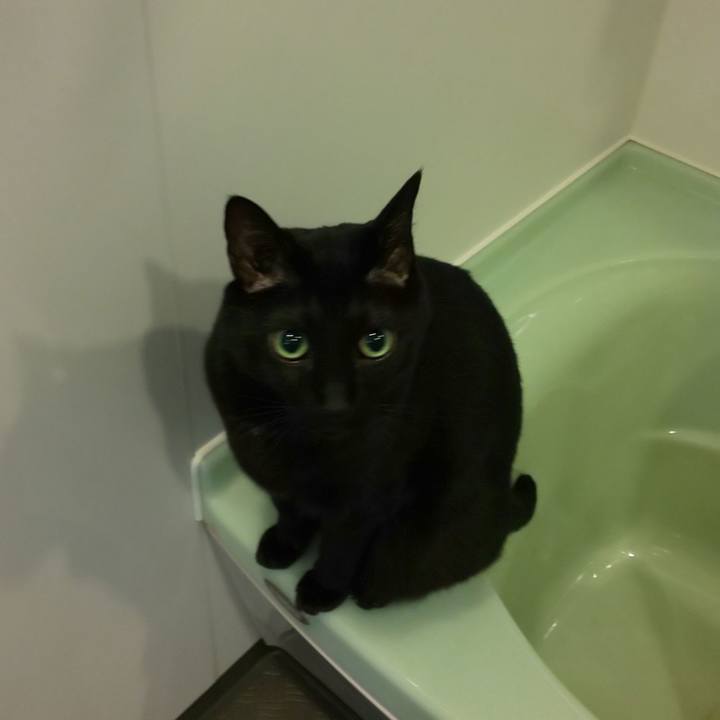 6a5a1b04 7522 40b8 aaa2 df1ddc158130 1668208009473