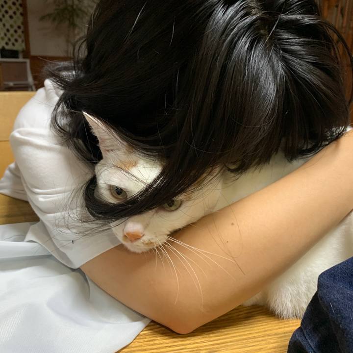 6a5a33ca 60a2 496d 816b e8cde810cfec 1658357164281