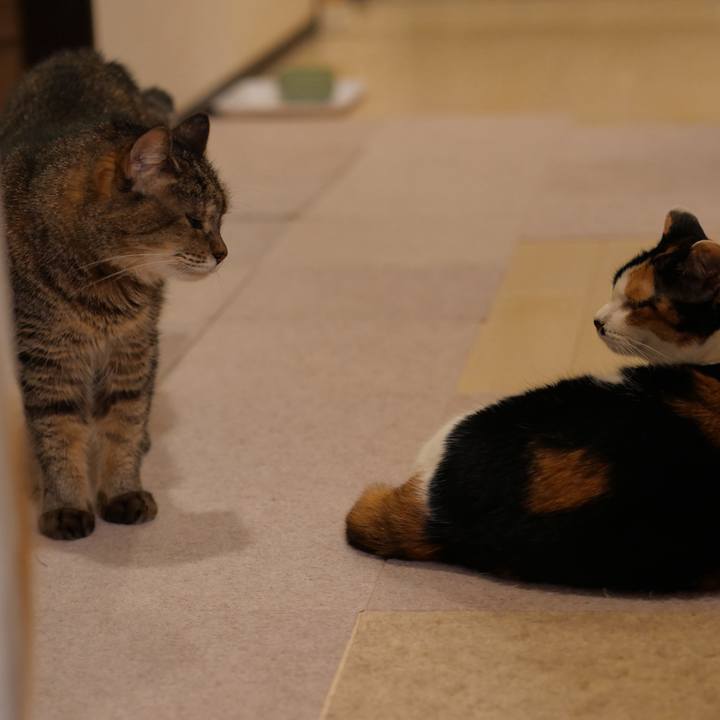 6a5a503f d743 4e27 b0d4 6f29bb4a88a4 1750718965333