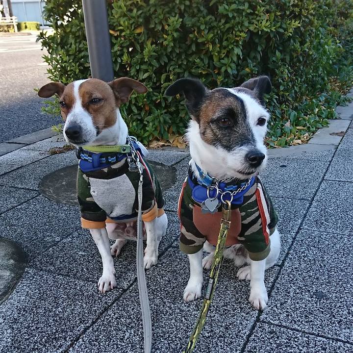 6a5a7d68 5181 4834 ac3d c8606f4ef23e 1578182530317