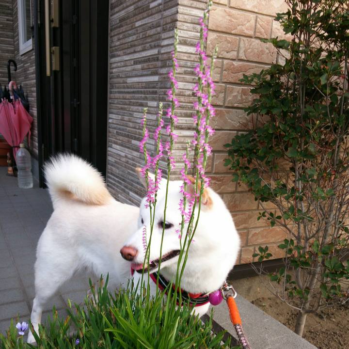 6a5acdd5 08bb 4e72 b764 a34650292114 1562062972536