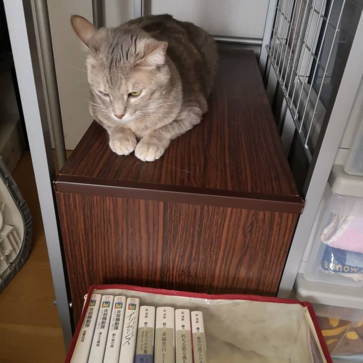 6a5ad456 48cd 4de6 b15a 36261113e48a 1578212113429