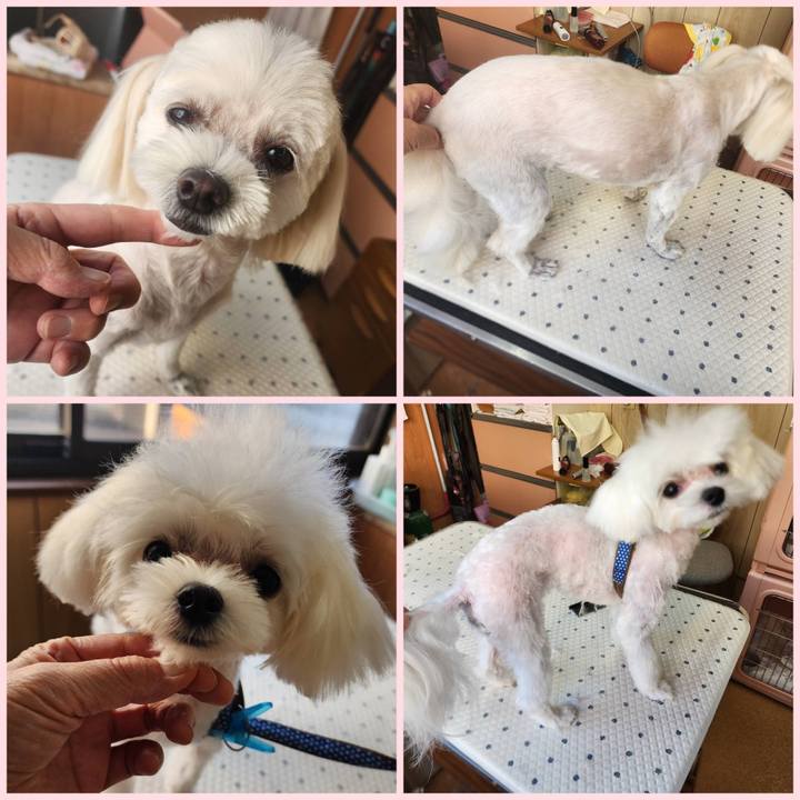 6a5b1105 acd3 4cab adc9 e4c88e5b308c 1725537287837