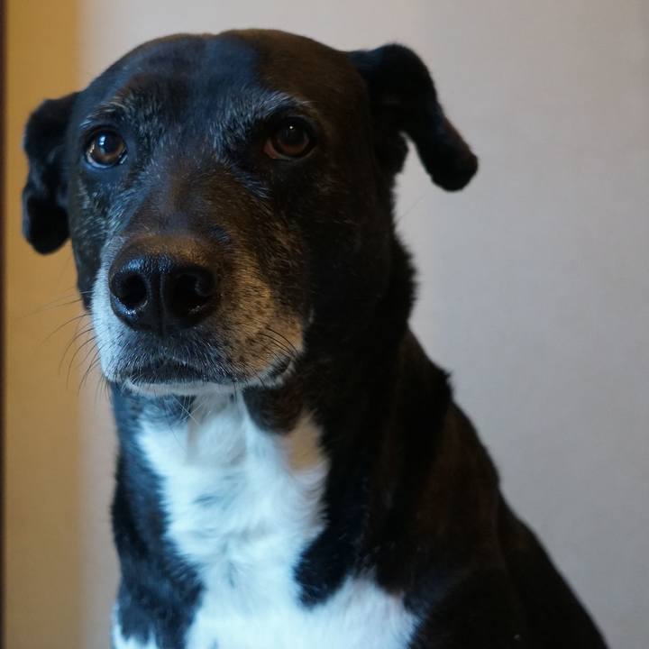 6a5b1d4d 3e85 4d0a 847c d45ea5948c21 1767401320467