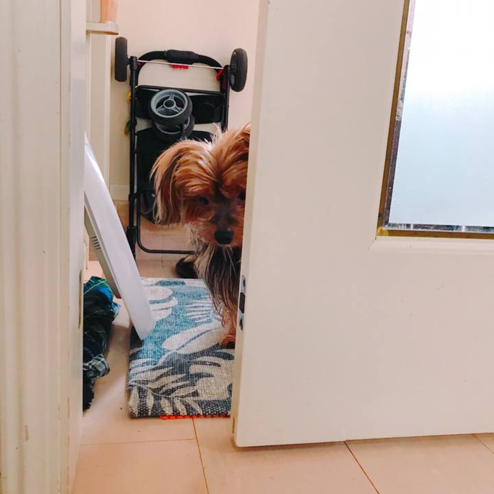 6a5b3d73 aa74 4f64 b42d ca4a743294bc 1530079780798