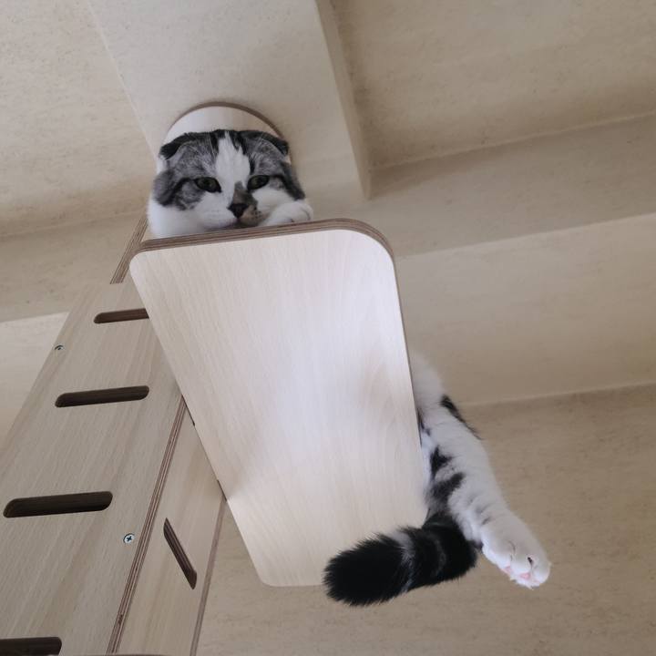 6a5b7c71 8009 4fca 8e95 8c2420fce6d6 1637210535561