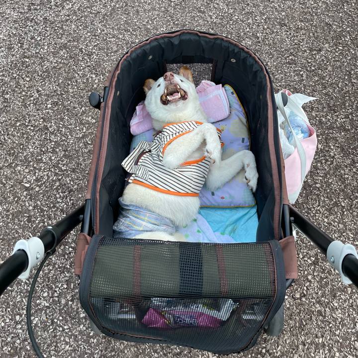 6a5b8f59 4ae0 4393 8d73 b6dd50e21b86 1659871105737