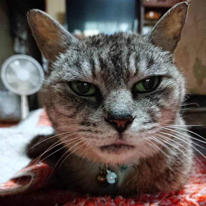 6a5bdb5b c0f1 4d15 9d8e 422d8ce5bbdc 1565815380551