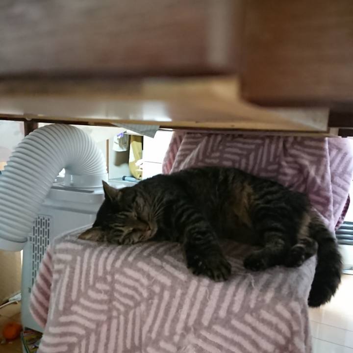 6a5c6fee b7fb 4e33 9368 dc1819e3ea04 1640936121177