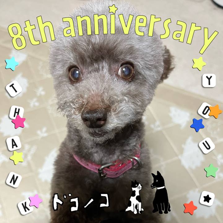 6a5c79bf 85f7 4f06 823f 0ded3263ec5f 1717571008593