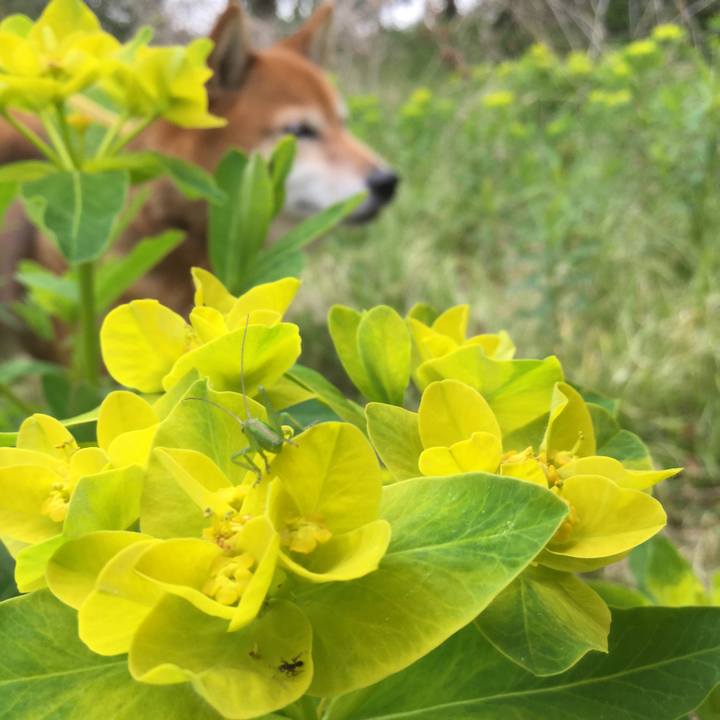 6a5ca30f 4760 419e 8688 011a1b8ae81a 1555213687627