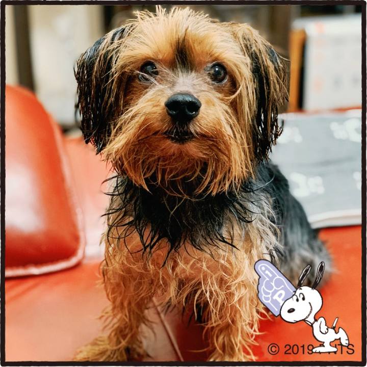 6a5cb300 2287 45a1 aa98 cd49d381a2c9 1580794717577