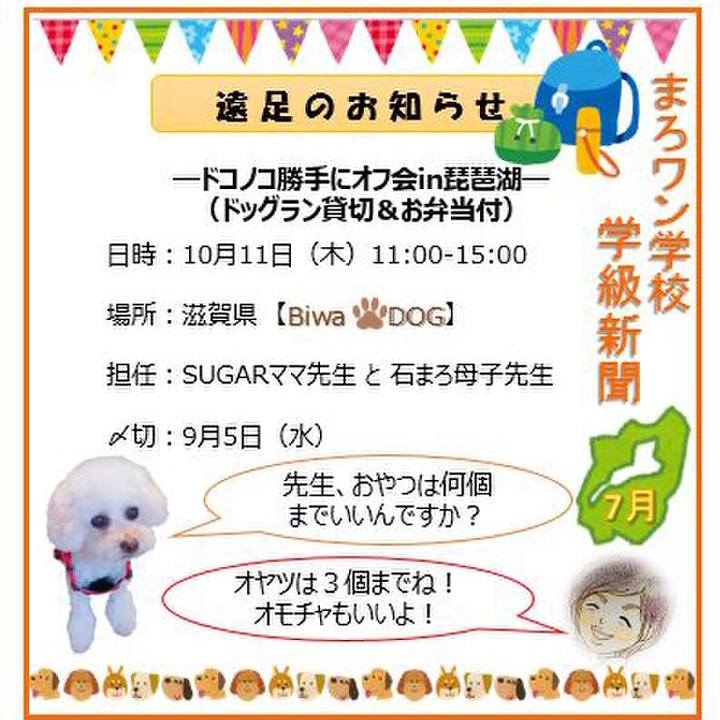 6a5cb408 1c98 4513 8a75 1acc0f1b6143 1531812824663