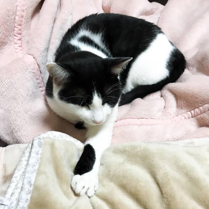 6a5cd67a 94a0 4c2e b63a e6977bddaf6a 1510624231324