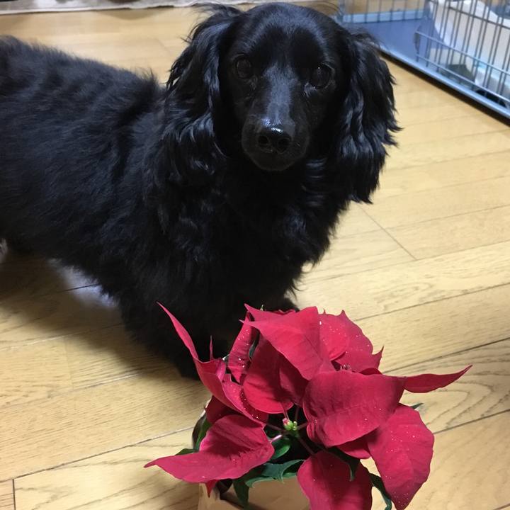 6a5d01d0 a82a 4a70 a3bb ca160ab18a04 1766580005514