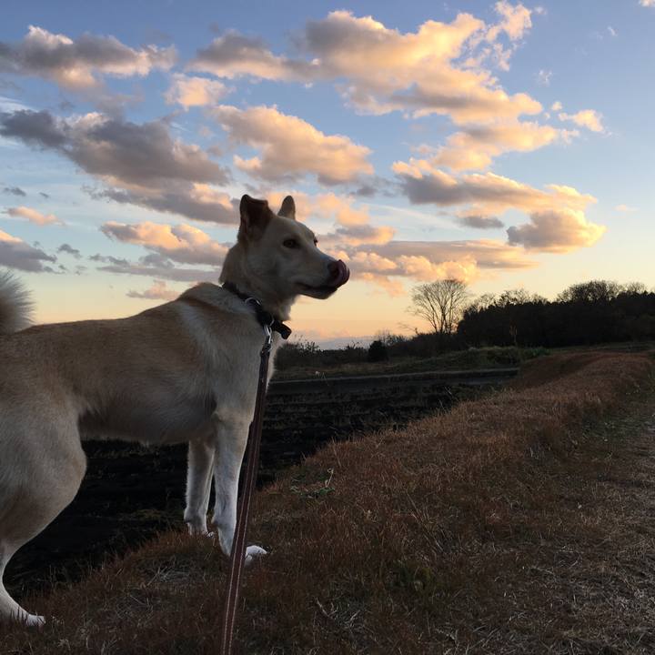 6a5d1688 0a3b 4859 a64a 2202f585e4e5 1511422141478