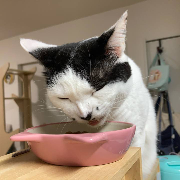 6a5d4530 472b 4c9e ac94 df62bb83d6bf 1761855343763