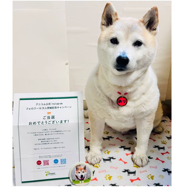 6a5d8f36 de8a 4879 a0b2 27e9e39f02ba 1737617611782