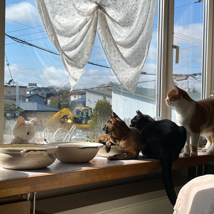 6a5d9e2c d4d4 4084 83cf 9b30ec9e30b5 1682982065685