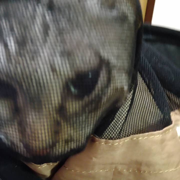 6a5da249 3cf3 48c6 92d8 435e91dcff99 1651923633671