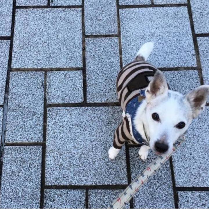 6a5daec3 7e9a 4845 9138 1ac607cf8ff4 1768605448316