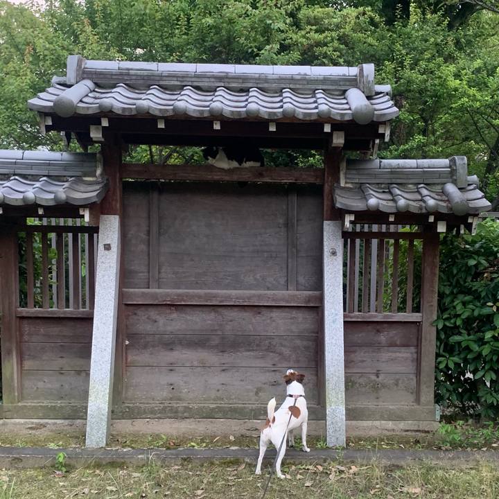 6a5dd7e9 00fd 46ce 9316 d8bd72020e5c 1560263303689