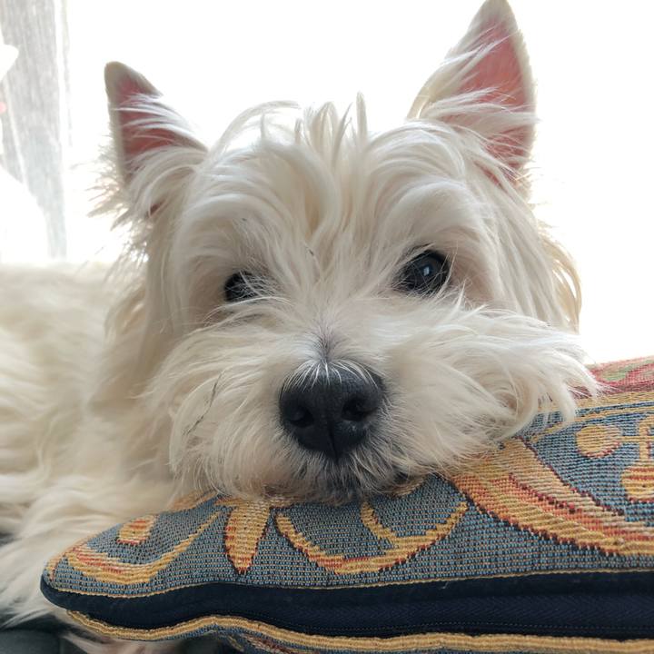 6a5dfeb8 daa7 4f6e a065 12334e1da2bd 1557029971863