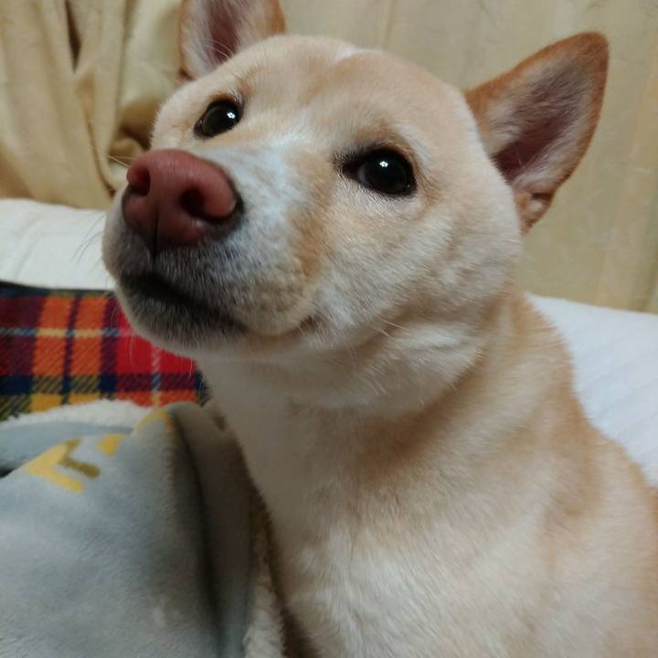 6a5e1fc2 d914 425a 90ba a8eba3f5a380 1517059073246