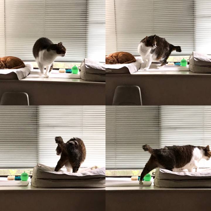 6a5e5bb6 07a4 4e57 95e7 8438bf2fc91b 1599723260776