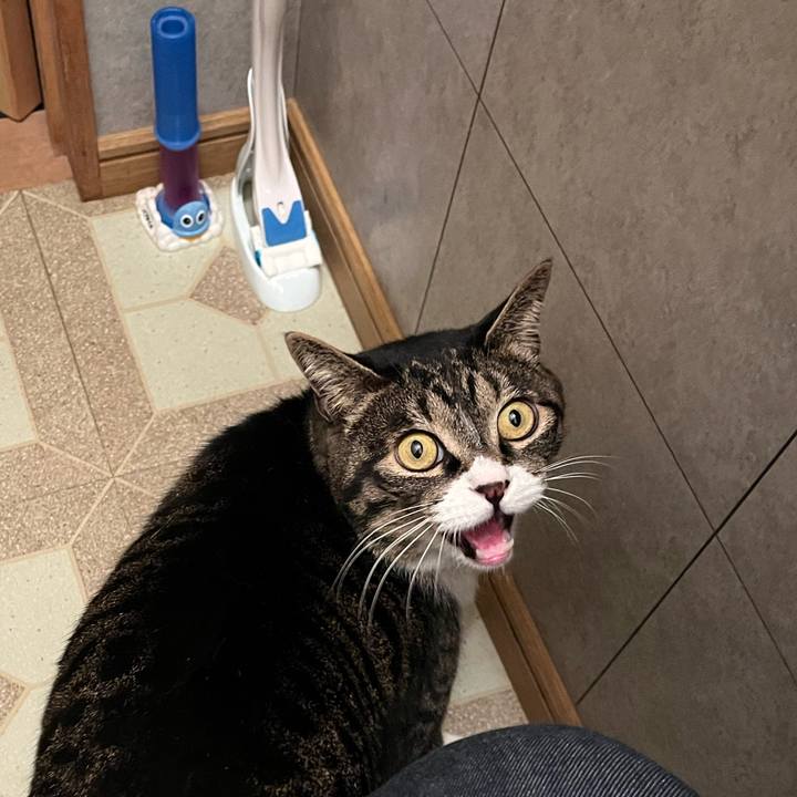 6a5e6175 d992 48a9 97bc c9506b4bfc60 1774221662805