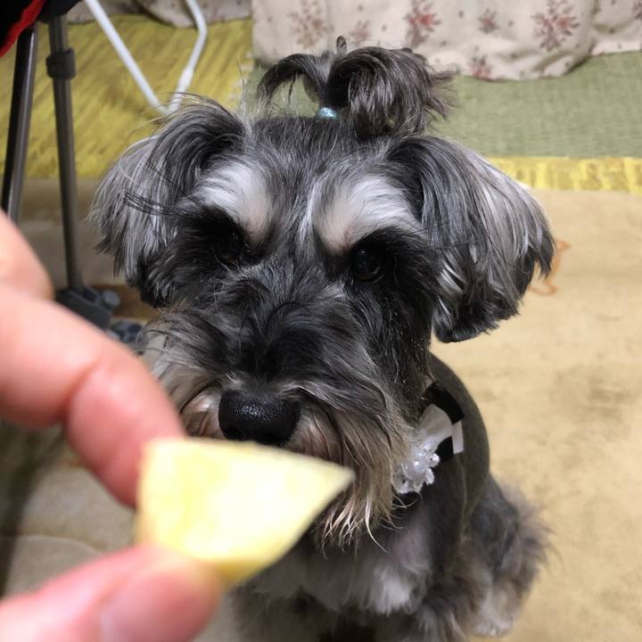 6a5e6504 ee92 4464 bbac 7017bbac6528 1550147263547