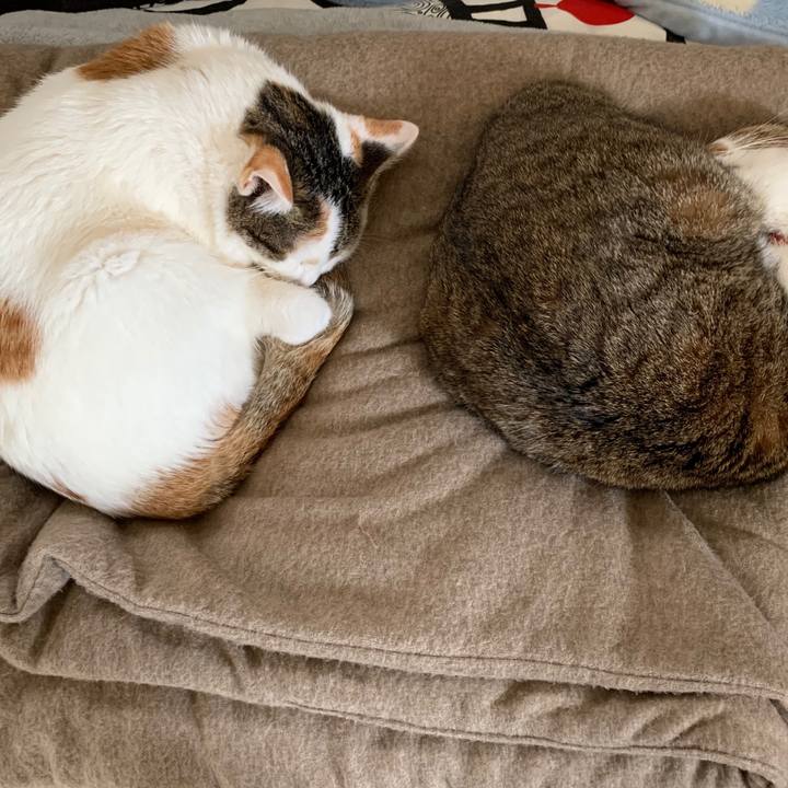 6a5ea2b1 7345 40ca b2e1 f4e3157fb2cc 1611290452783