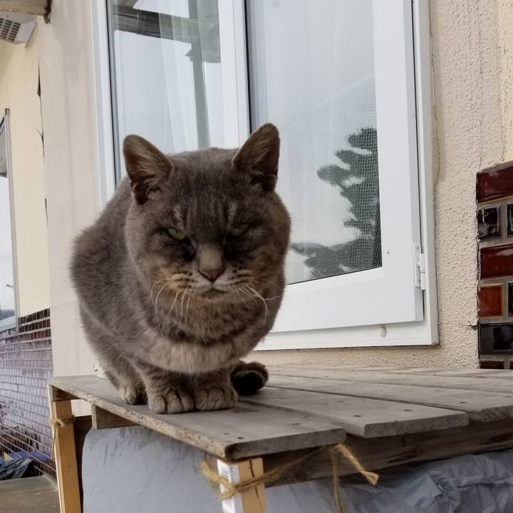 6a5eb23f 85a8 4314 b462 f8f3893b5054 1545569133638