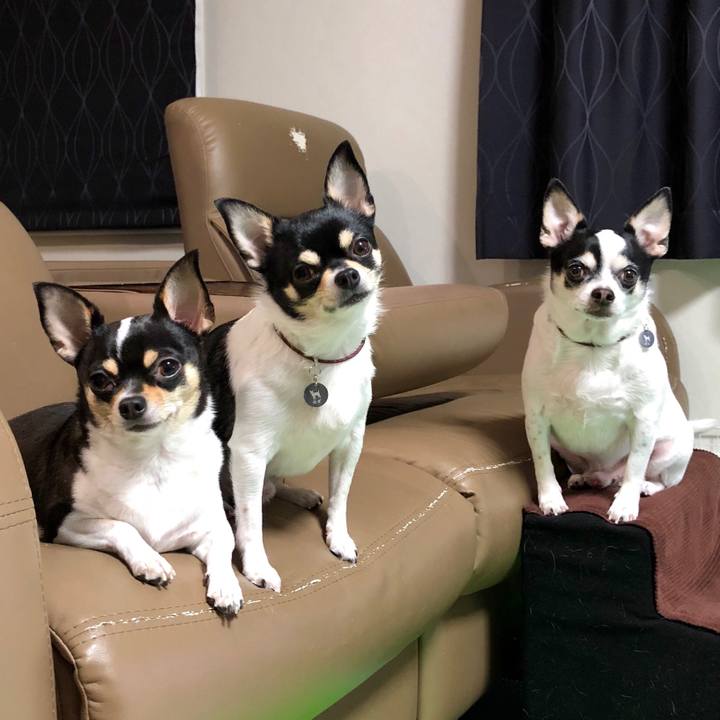 6a5f2e92 9fca 4906 a7e0 400e9e71a4f1 1545303502696