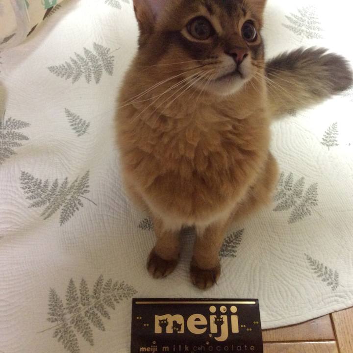 6a5f2f30 d061 4a81 bf24 d88c1bc7c085 1579250599995