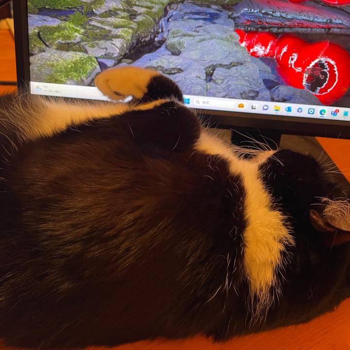 6a5f3713 b77f 4051 95f0 98de5e2dfb8d 1709124915458