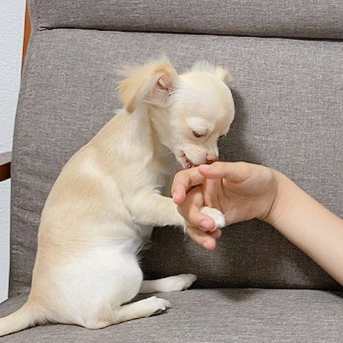 6a5f41fb 8bef 459f a4d9 6b750339f2ff 1596016413121