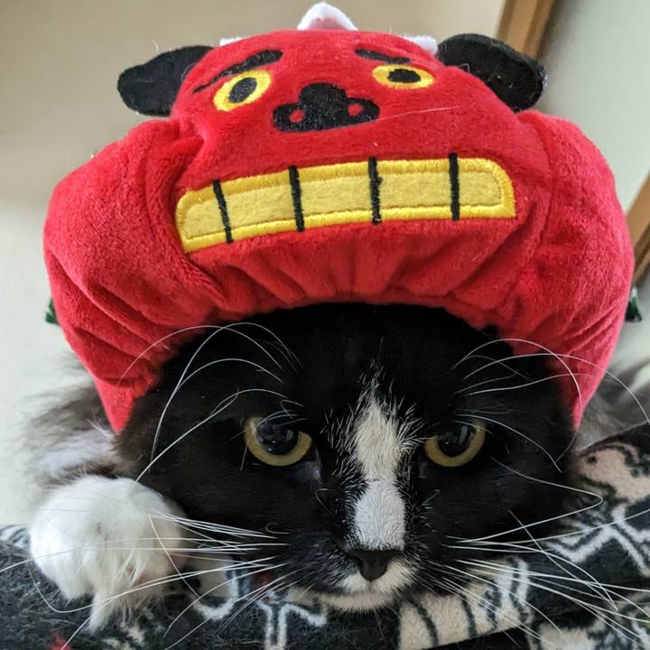 6a5f4d80 7511 4325 8a49 bac242ea063b 1672543799371