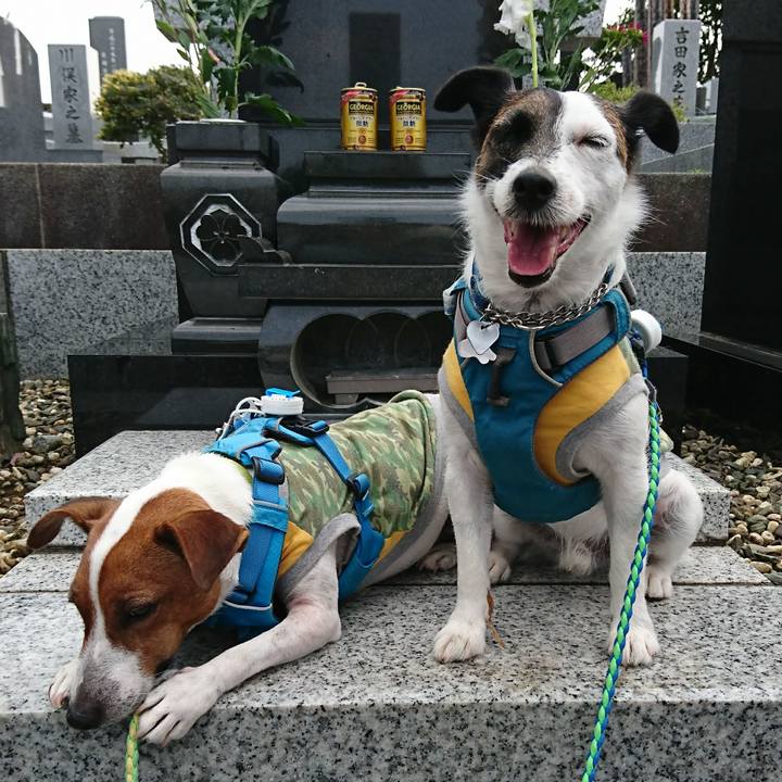 6a5f502b 4356 4435 8f22 8150df2f8f3b 1596880247619